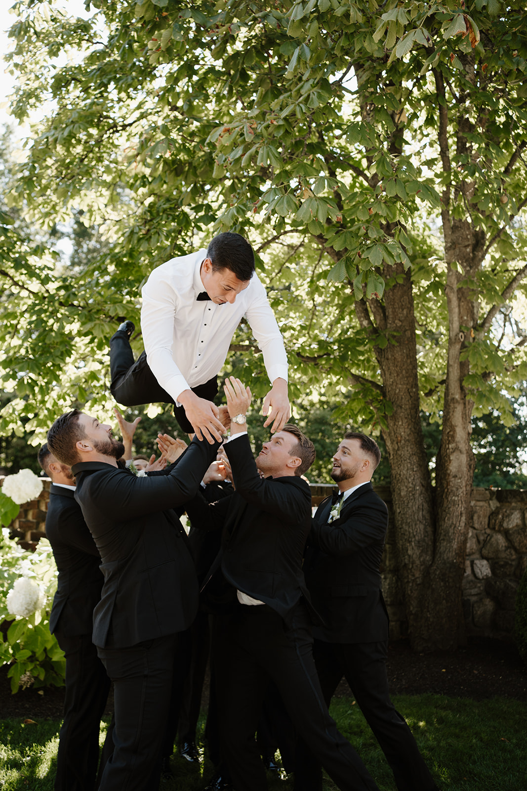 Groomsmen throwing the groom in the air during a playful and energetic celebration on the lawn.